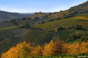 autunno