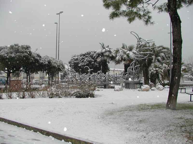 neve