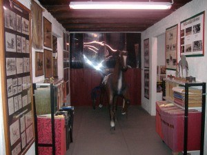 museodeltrotto