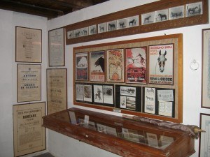 museodeltrotto1