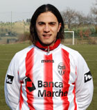 perrotta perrotta