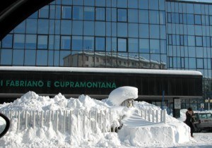 carifac carifac