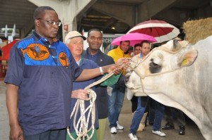 ambas0791 ambas0791