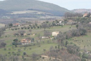 colmartino 007 colmartino 007