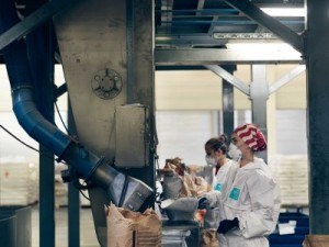 lavoro