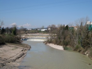 ChientiSforz1 ChientiSforz1