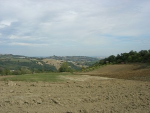 GualdoLocMarchesi GualdoLocMarchesi
