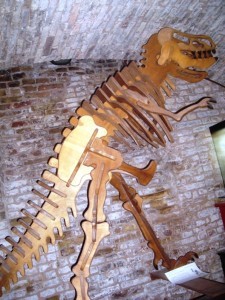 museo storia naturale museo storia naturale