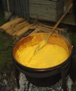 polenta polenta