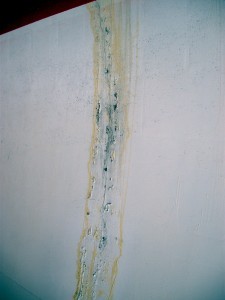 DSCN2423 DSCN2423