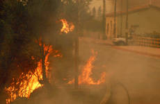 incendi boschivi incendi-boschivi