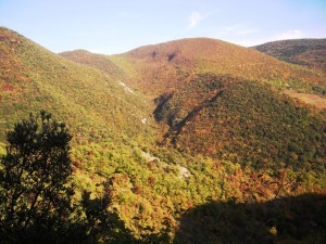 Foto 01