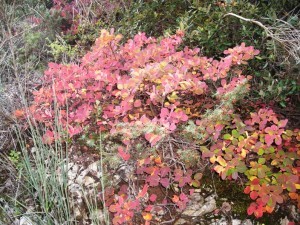 Foto 05
