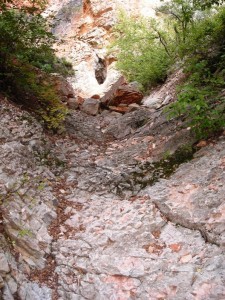 Foto 06