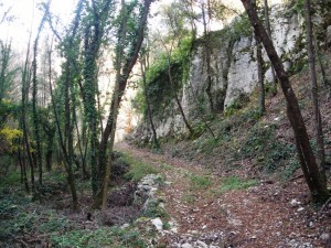 Foto 08