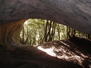 Foto 10