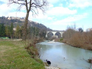 DSCF0096 DSCF0096