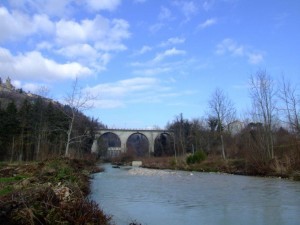DSCF0098 DSCF0098
