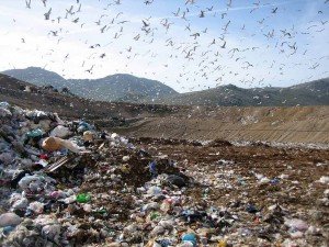 discarica discarica