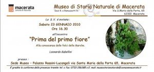 museostorianaturale1 museostorianaturale1-300x141