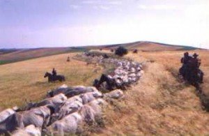 mandria_in_fila mandria_in_fila