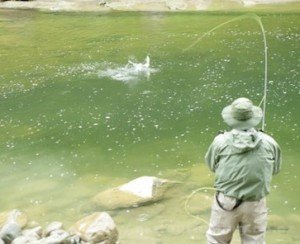 pesca fiume pesca-fiume
