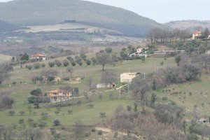 colmartino-007-300x200 colmartino-007-300x200