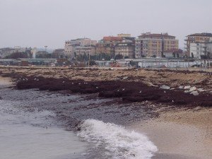 litorale civitanova litorale-civitanova