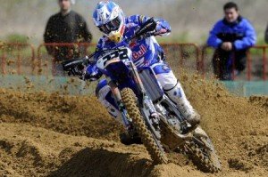 tonycairoli