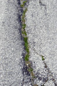 V4D7659-200x300