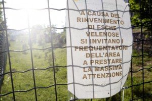campetto cani campetto-cani