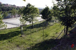 campetto cani1 campetto-cani1-300x200