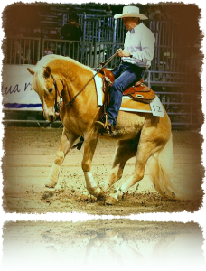 Westernlife Westernlife