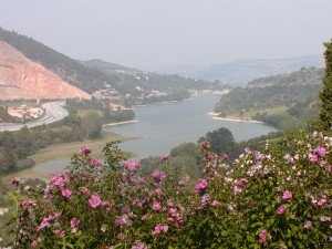 caccamo1-300x225