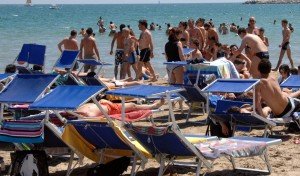 mare