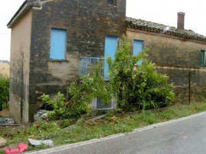 mortaletardi1 mortaletardi1-300x225