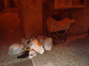 carrozzina