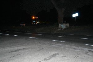 IMG_6073-300x200