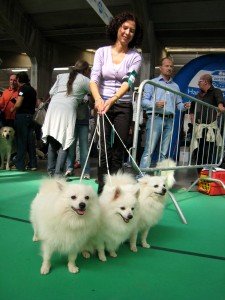 Cani3 Cani3-225x300