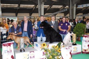 Premiazione1 Premiazione1-300x200