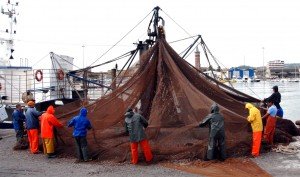 pesca