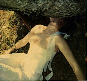 donatella mancini donatella-mancini