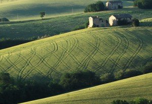 AppignanoPaesaggioAgricolo AppignanoPaesaggioAgricolo