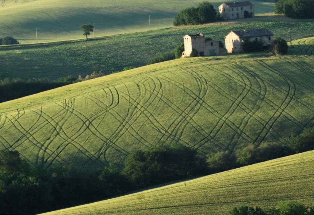 AppignanoPaesaggioAgricolo