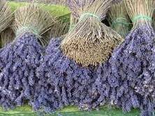 MRG lavanda MRG-lavanda