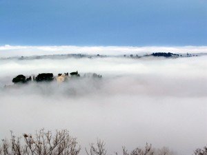 IMG_0005-300x225