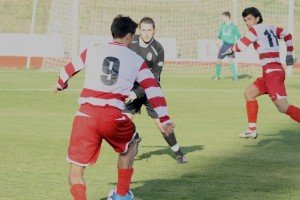 maceratese_belvederese_02 maceratese_belvederese_02-300x200