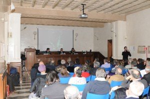 platea platea
