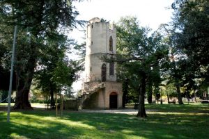 cipresso-villa-cozza