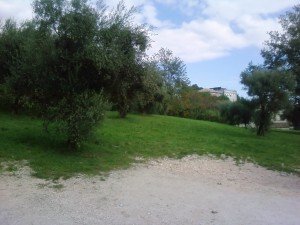 area-palestra